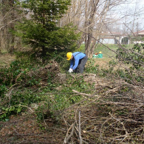 Intervento Fanna n. 9 / 78938