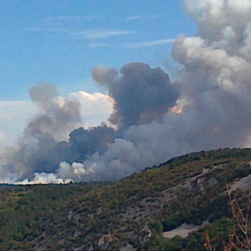 Incendio zona Crnotice n.5 / 85001