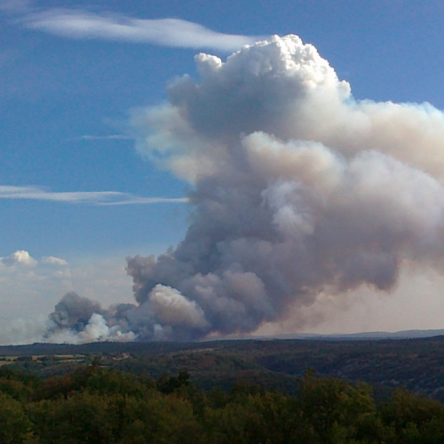 Incendio zona Crnotice n.8 / 85004