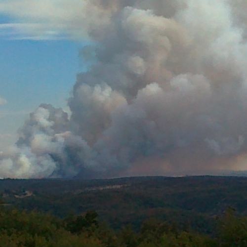 Incendio zona Crnotice n.9 / 85005