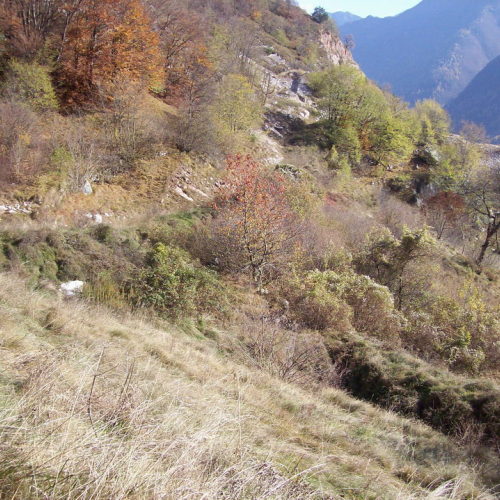 foto 11 / 17559