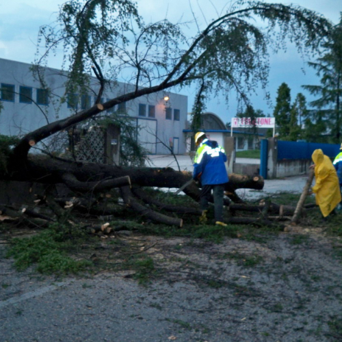 Interventi per maltempo 23/07 n. 3 / 54694