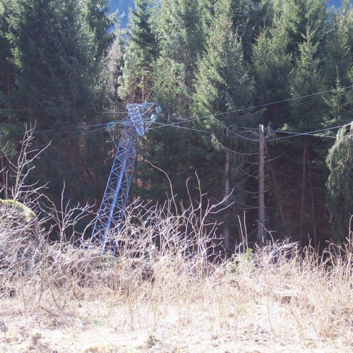 Foto 28/01 n. 17 / 20300