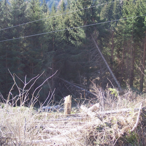 Foto 28/01 n. 18 / 20301