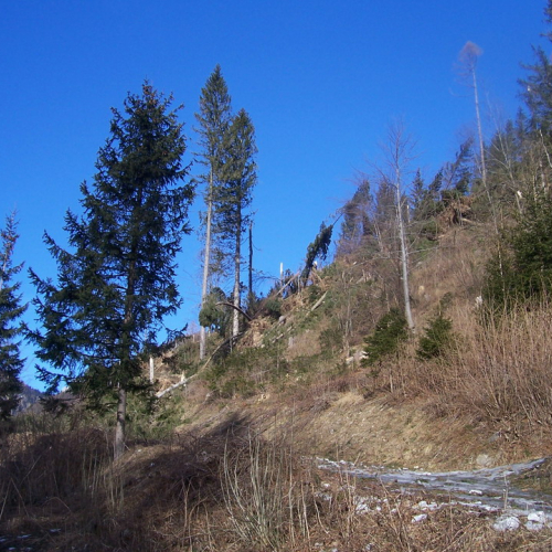 Foto 28/01 n. 24 / 20307