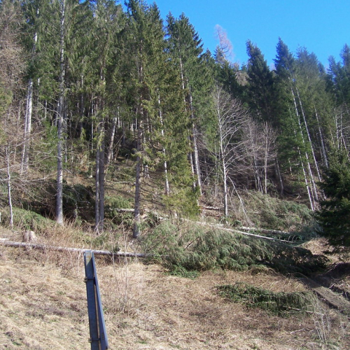 Foto 28/01 n. 25 / 20308