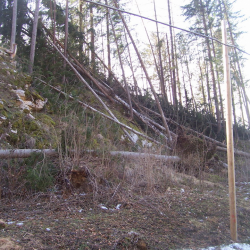 Foto 28/01 n. 26 / 20309