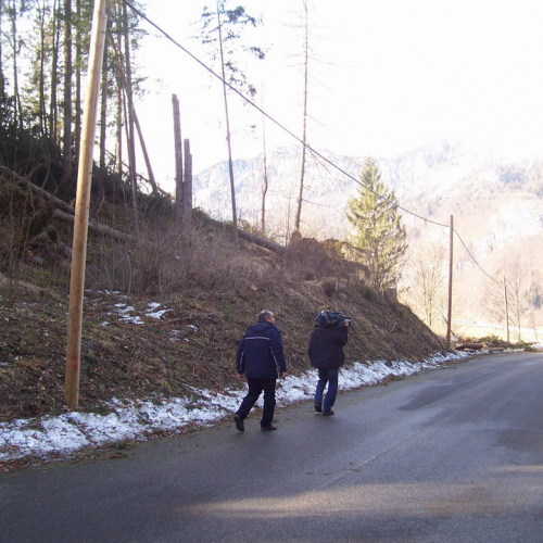 Foto 28/01 n. 27 / 20310