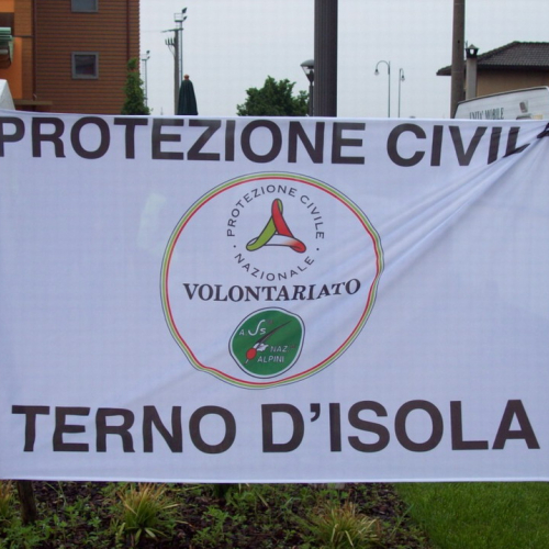 Adunata nazionale degli alpini a Bergamo n. 2 / 51419