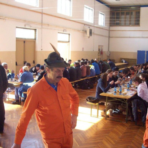 Attivit‡ di supporto 20/03 n. 8 / 78058