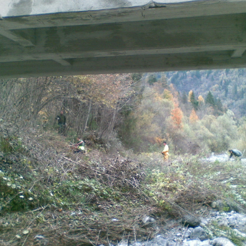 Attivit‡ prevenzione del 10/11 n. 2 / 88039