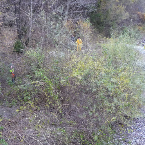 Attivit‡ prevenzione del 10/11 n. 6 / 88043