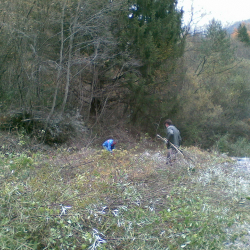 Attivit‡ prevenzione del 10/11 n. 8 / 88045