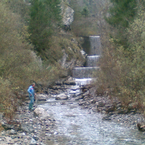 Attivit‡ prevenzione del 10/11 n. 18 / 88055