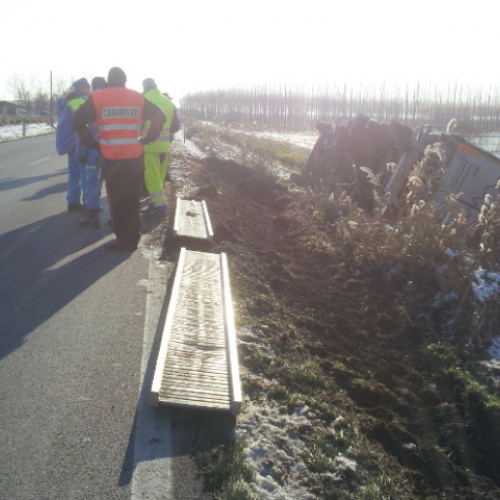 Intervento per camion rovesciato n. 6 / 89554