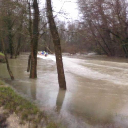 Interventi volontari n. 1 / 103768