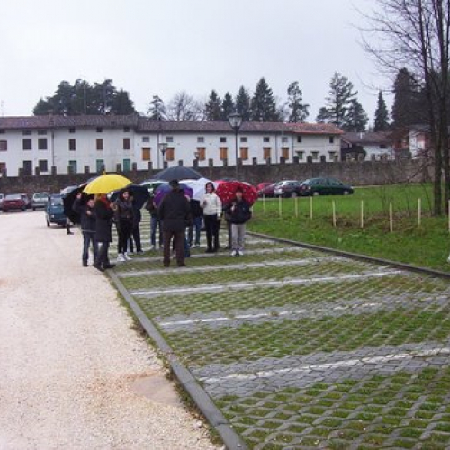Festa degli alberi n. 4 / 59136