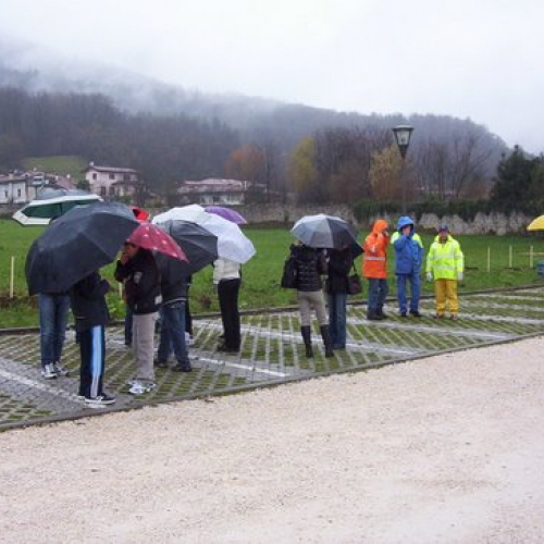 Festa degli alberi n. 5 / 59137