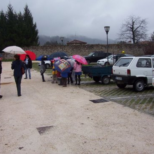 Festa degli alberi n. 6 / 59138