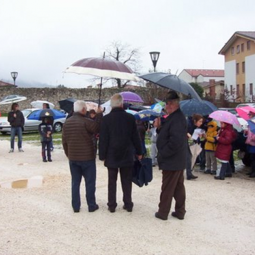 Festa degli alberi n. 7 / 59139