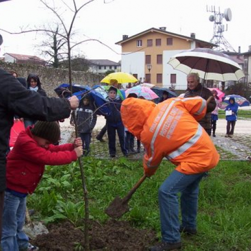 Festa degli alberi n. 8 / 59140
