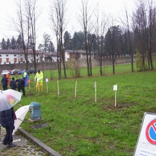 Festa degli alberi n. 18 / 59150