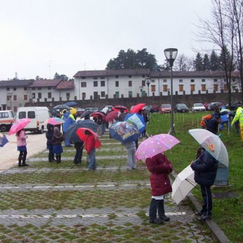 Festa degli alberi n. 19 / 59151