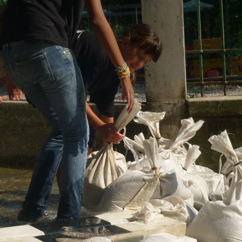 Attivit‡ per Gr.est. 2010 n. 3 / 55578