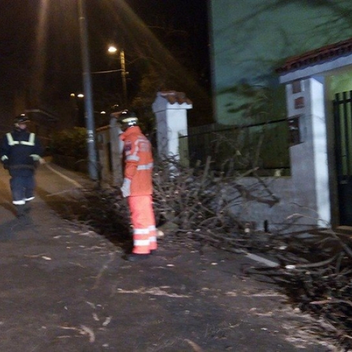 Interventi CPV Trieste foto n.3 / 112683