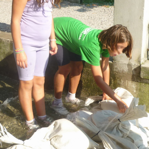 Attivit‡ per Gr.est. 2010 n. 8 / 55583