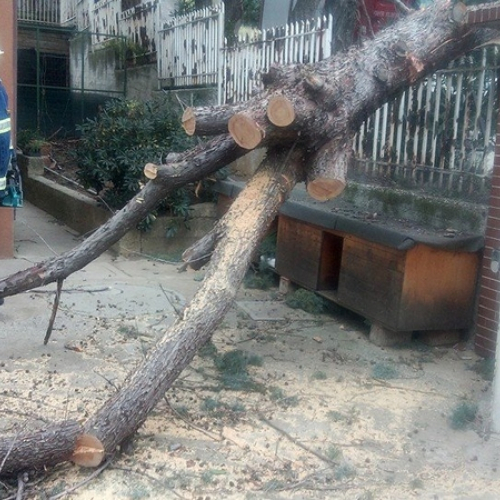 Interventi CPV Trieste foto n.6 / 112686