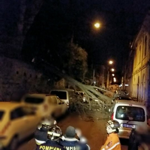 Interventi CPV Trieste foto n.7 / 112687