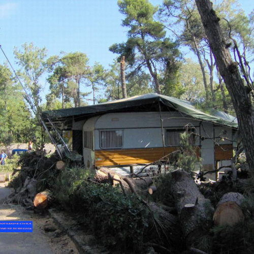 Volontari a Grado per emergenza 9 agosto 10 / 28021
