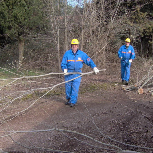 Addestramento 14/03 n. 7 / 35973