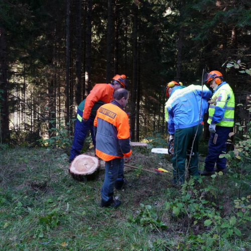 Corso motosega 10/10/10 n. 10 / 56976