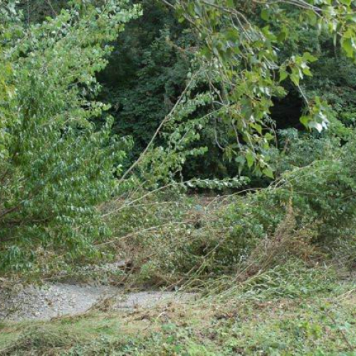 Lavori Torrente Rosandra n. 8 / 56695