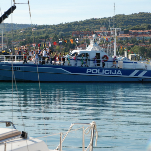 Mezzi esposti n. 6 / 71274