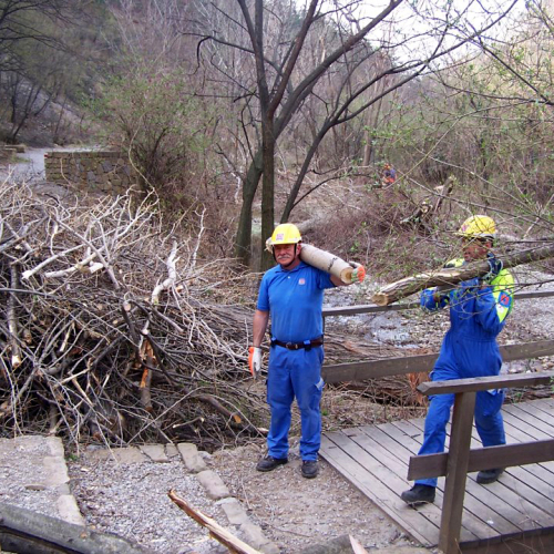 Intervento San Dorligo della Valle - Dolina n. 11 / 79123