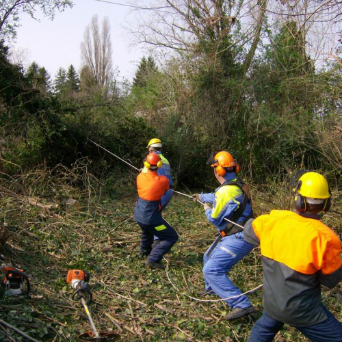 Intervento Ronchis n. 11 / 78906