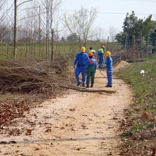 Intervento Caneva n. 11 / 78862