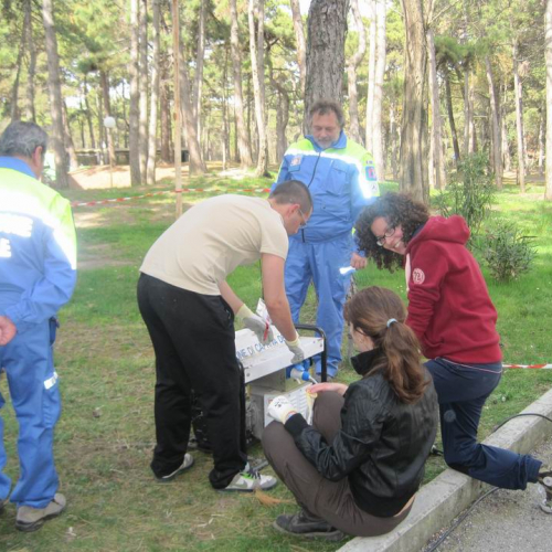 Gallery impianti elettrici e soccorso in acqua n. 11 / 79423