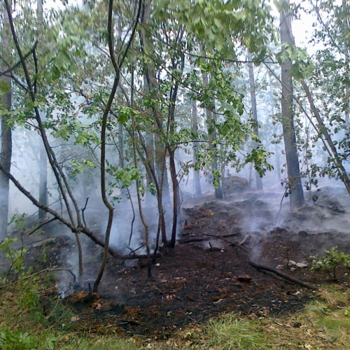 Altre foto incendio a Sgonico n. 2 / 84996