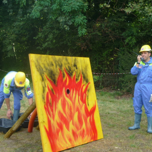 Attivit‡ per Gr.est. 2010 n. 11 / 55586