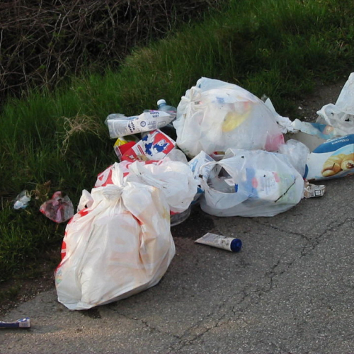 foto 30/03 n. 4 / 21952