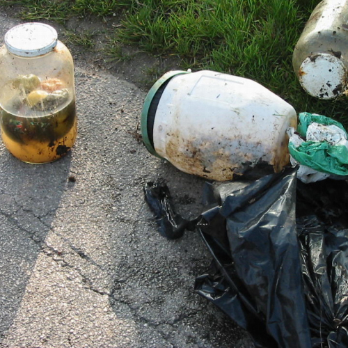 foto 30/03 n. 5 / 21953