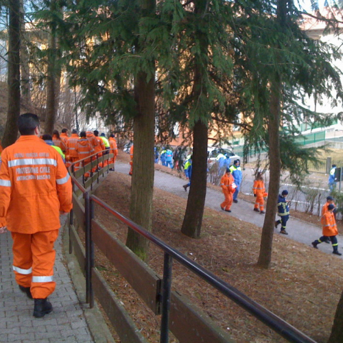 Corso AIB n. 43 / 61353