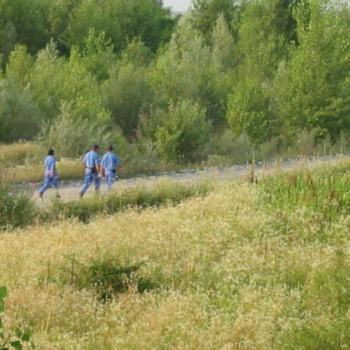 Attivit‡ addestrativa 04/07 n. 2 / 26953