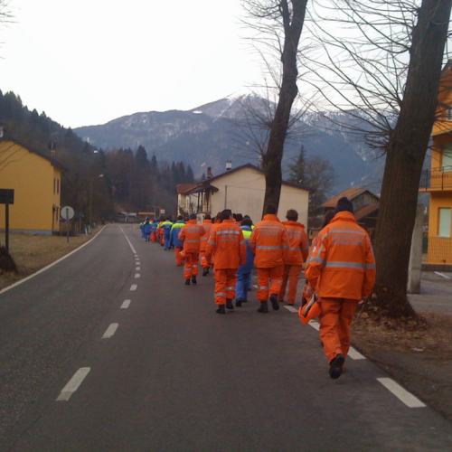 Corso AIB n. 45 / 61355