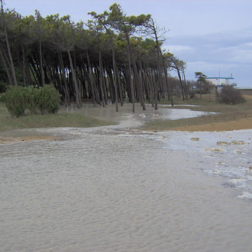 Lignano mareggiata 01/12 n. 11 / 32751