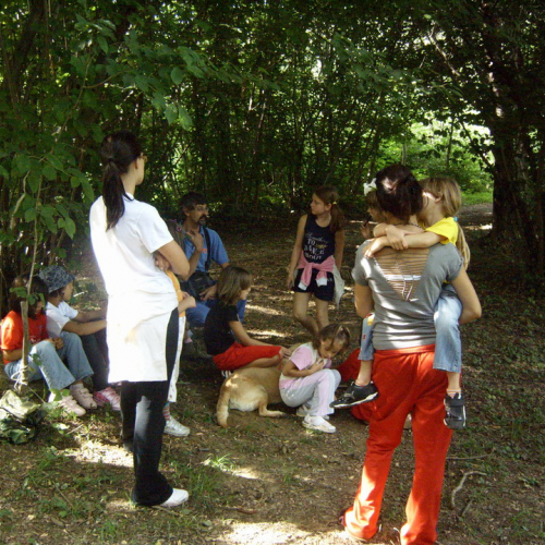 centro Estivo n. 11 / 27804